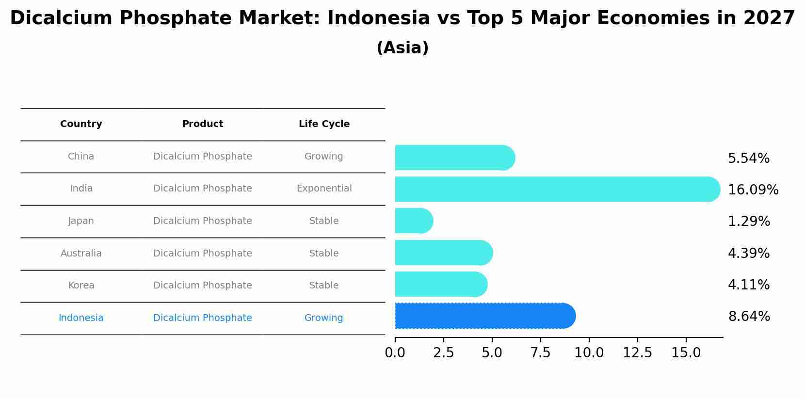 Dicalcium Phosphate Market: Indonesia vs Top 5 Major Economies in 2027 (Asia)