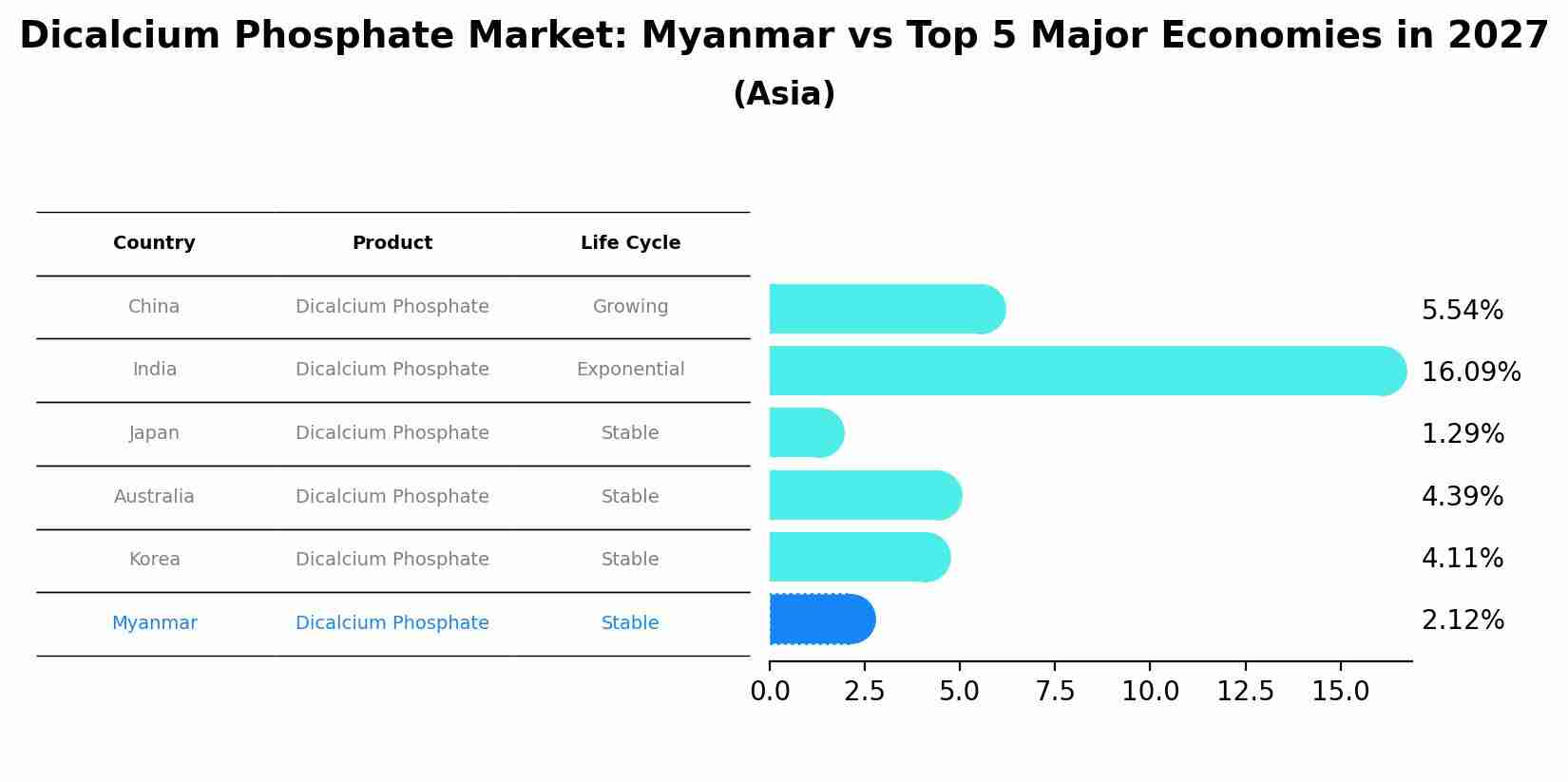 Dicalcium Phosphate Market: Myanmar vs Top 5 Major Economies in 2027 (Asia)
