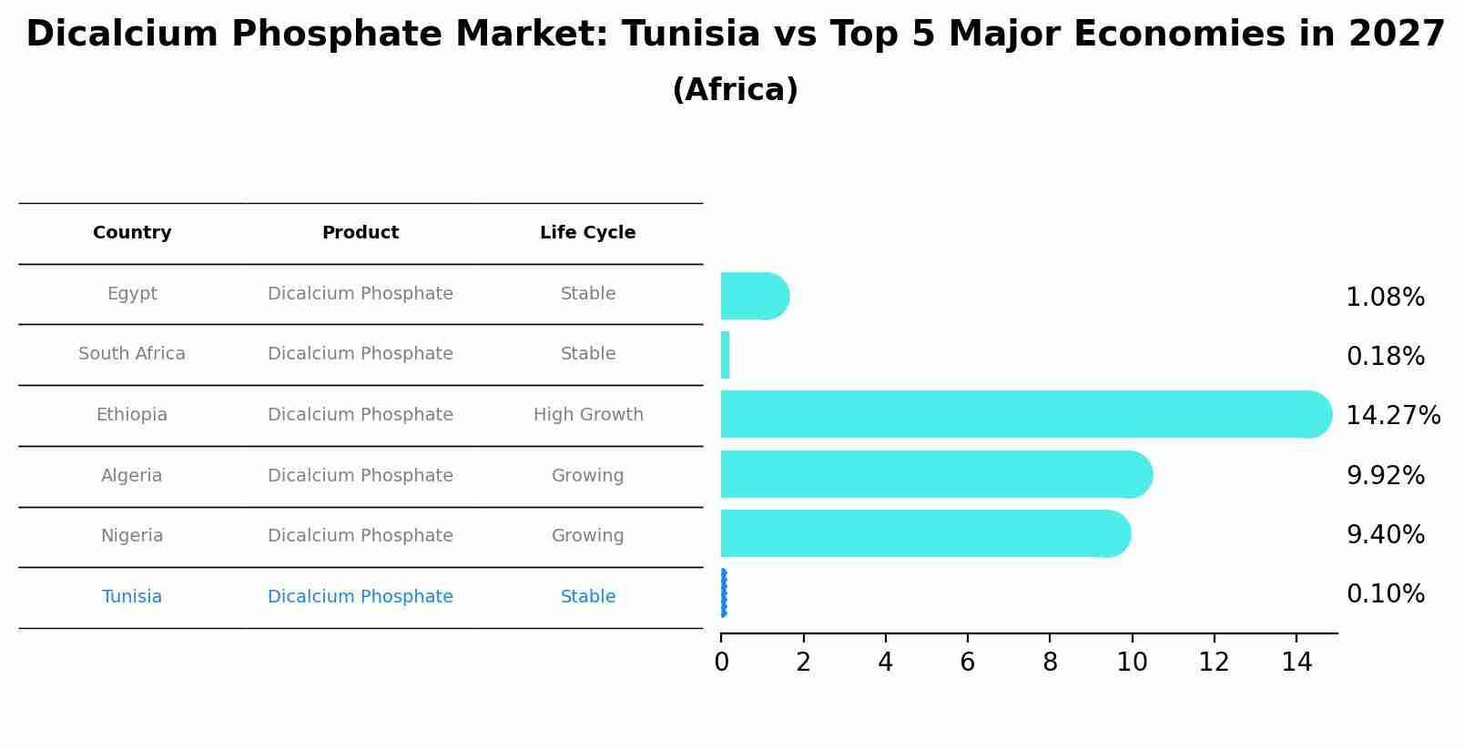 Dicalcium Phosphate Market: Tunisia vs Top 5 Major Economies in 2027 (Africa)