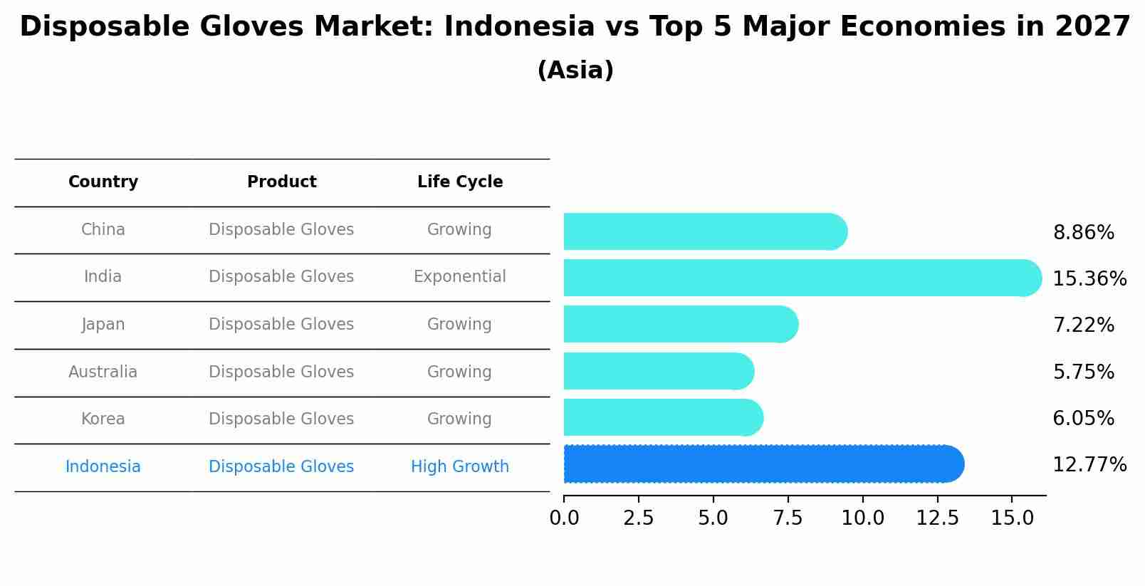 Disposable Gloves Market: Indonesia vs Top 5 Major Economies in 2027 (Asia)