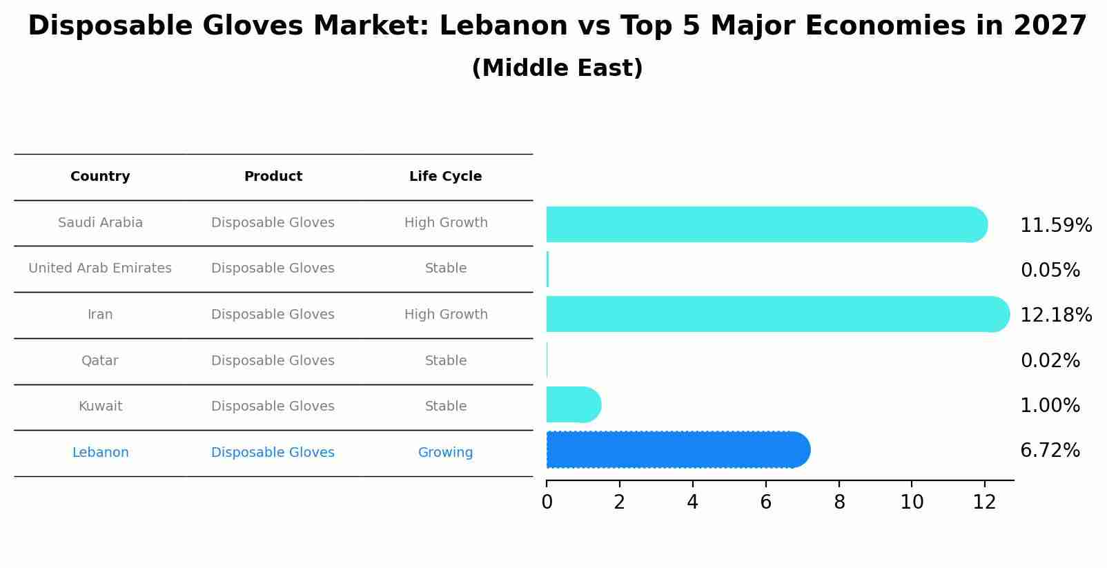 Disposable Gloves Market: Lebanon vs Top 5 Major Economies in 2027 (Middle East)