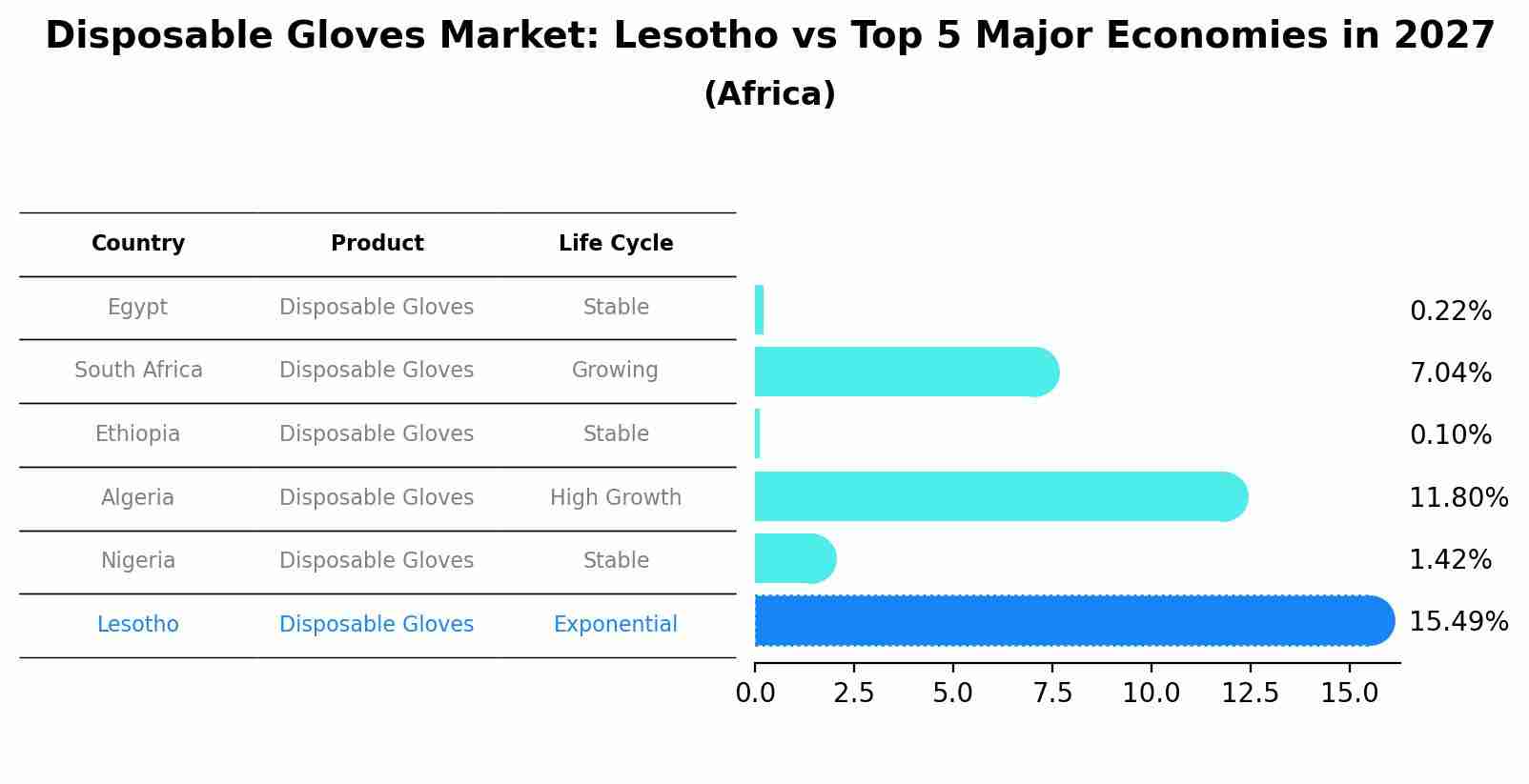 Disposable Gloves Market: Lesotho vs Top 5 Major Economies in 2027 (Africa)