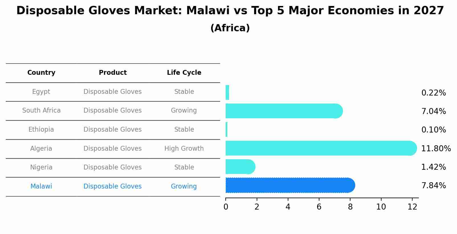 Disposable Gloves Market: Malawi vs Top 5 Major Economies in 2027 (Africa)