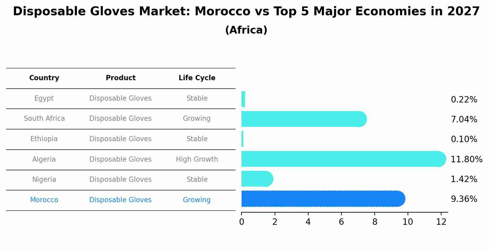 Disposable Gloves Market: Morocco vs Top 5 Major Economies in 2027 (Africa)