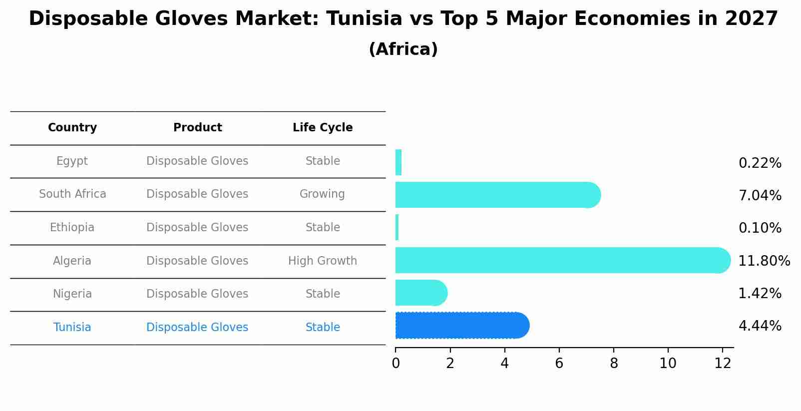 Disposable Gloves Market: Tunisia vs Top 5 Major Economies in 2027 (Africa)
