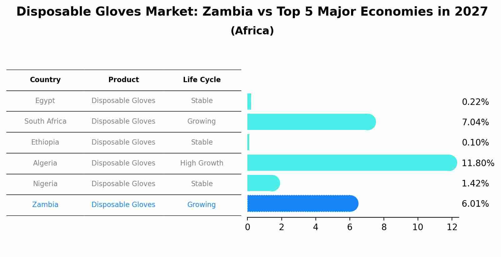 Disposable Gloves Market: Zambia vs Top 5 Major Economies in 2027 (Africa)