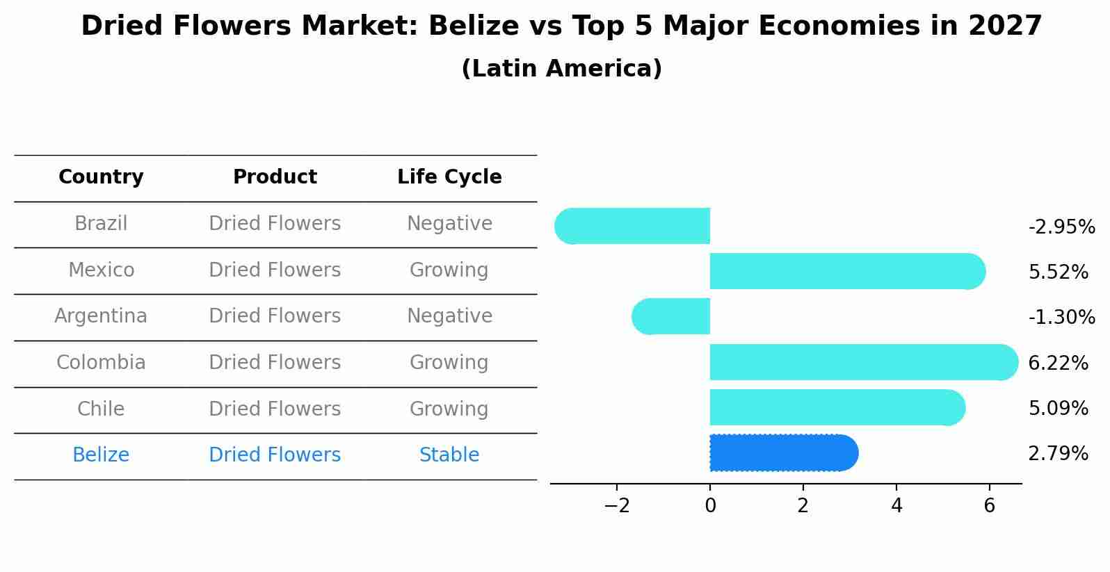 Dried Flowers Market: Belize vs Top 5 Major Economies in 2027 (Latin America)