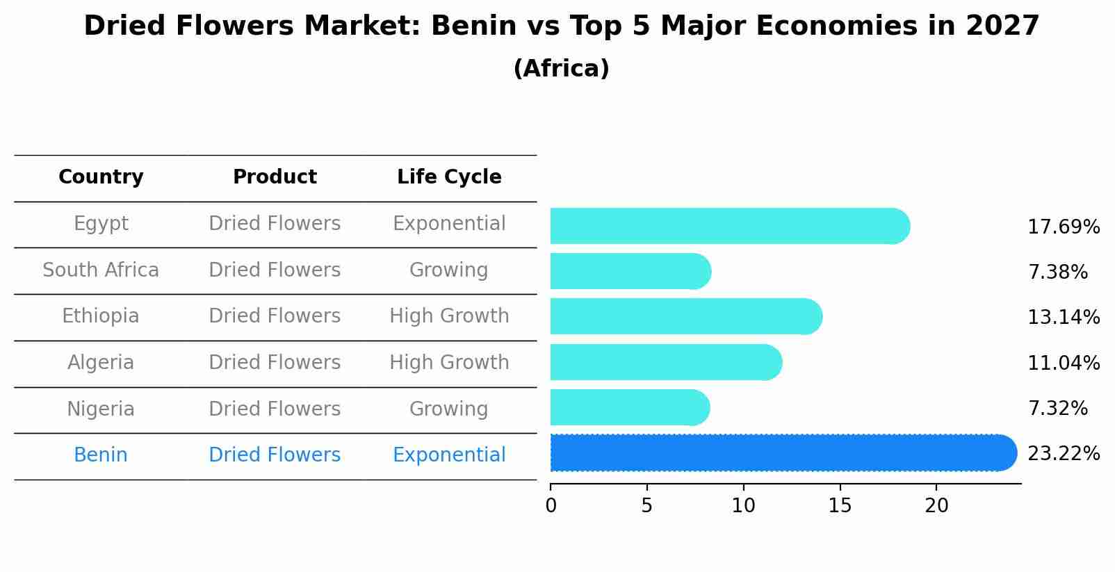 Dried Flowers Market: Benin vs Top 5 Major Economies in 2027 (Africa)