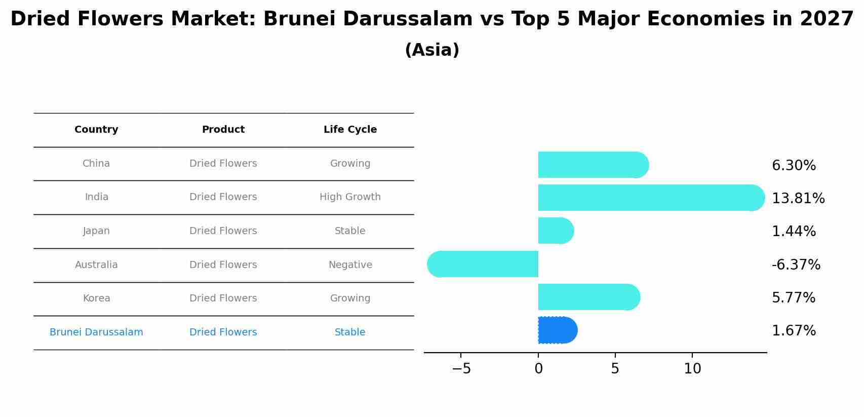 Dried Flowers Market: Brunei Darussalam vs Top 5 Major Economies in 2027 (Asia)
