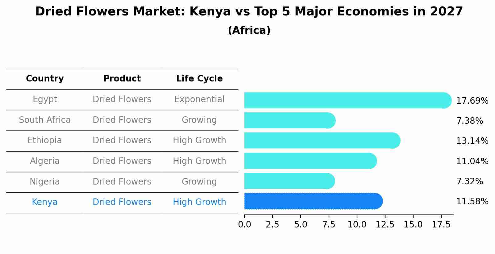 Dried Flowers Market: Kenya vs Top 5 Major Economies in 2027 (Africa)