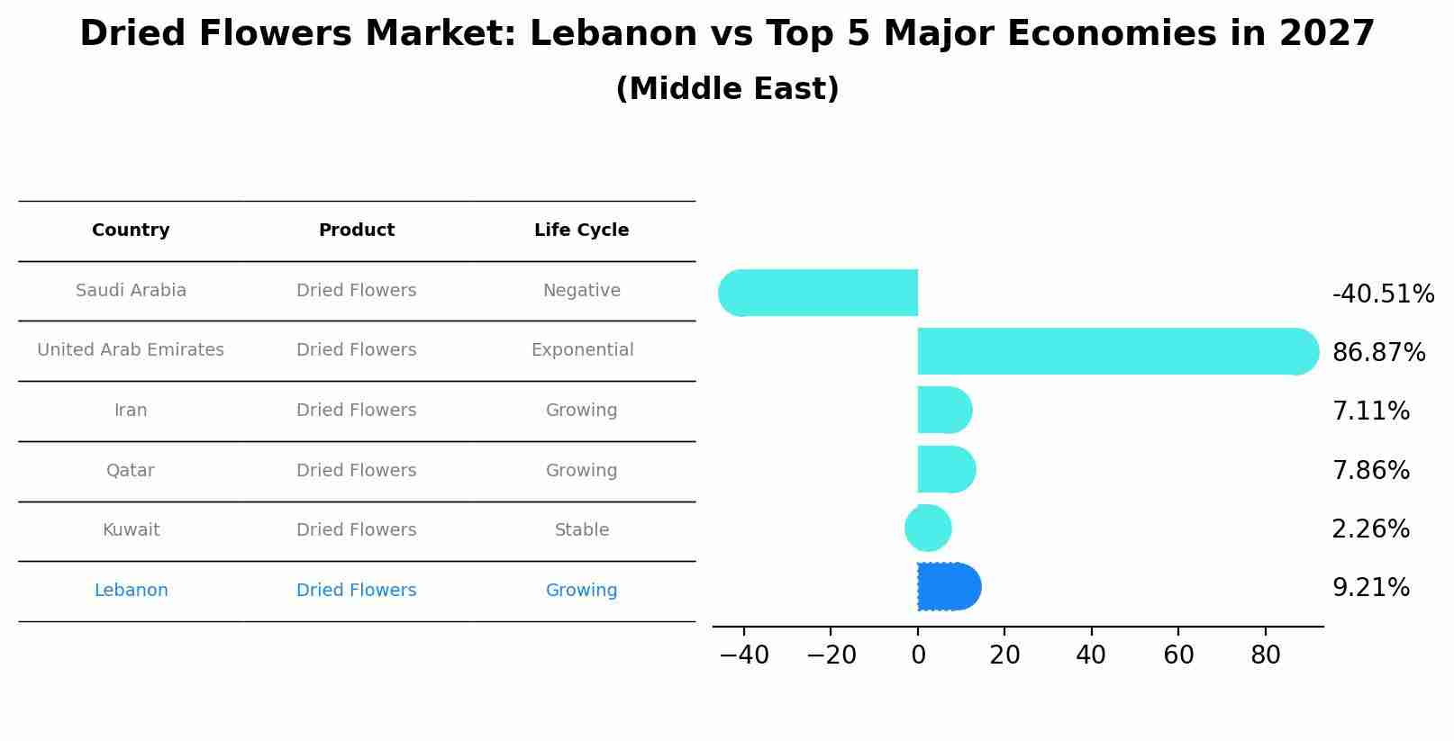 Dried Flowers Market: Lebanon vs Top 5 Major Economies in 2027 (Middle East)