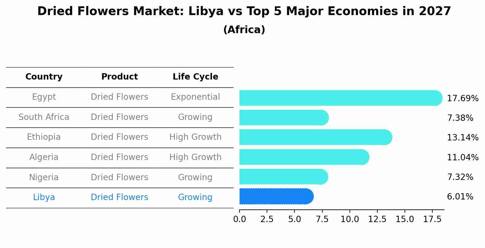 Dried Flowers Market: Libya vs Top 5 Major Economies in 2027 (Africa)
