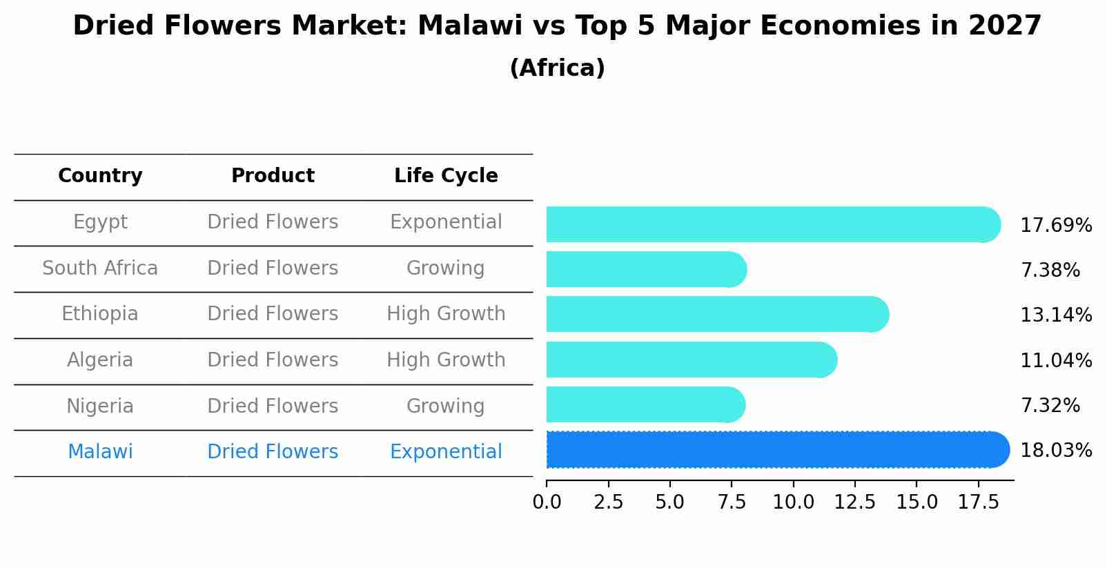 Dried Flowers Market: Malawi vs Top 5 Major Economies in 2027 (Africa)