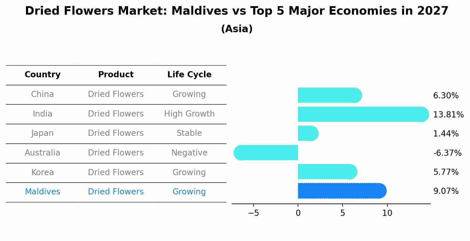 Dried Flowers Market: Maldives vs Top 5 Major Economies in 2027 (Asia)