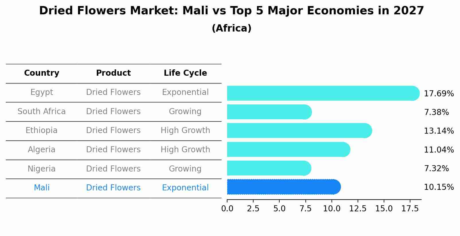 Dried Flowers Market: Mali vs Top 5 Major Economies in 2027 (Africa)