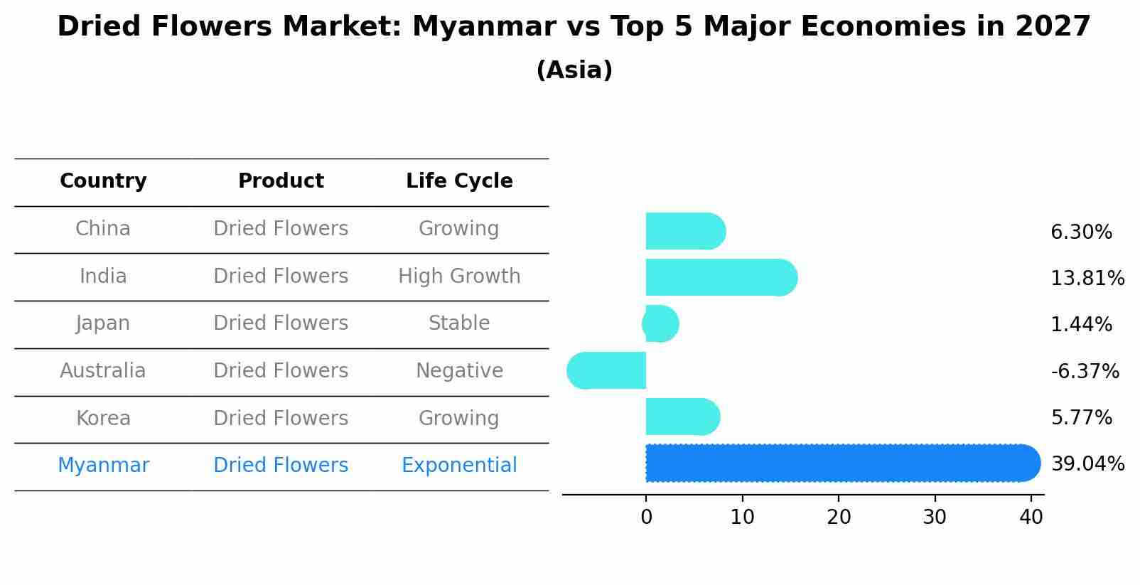 Dried Flowers Market: Myanmar vs Top 5 Major Economies in 2027 (Asia)