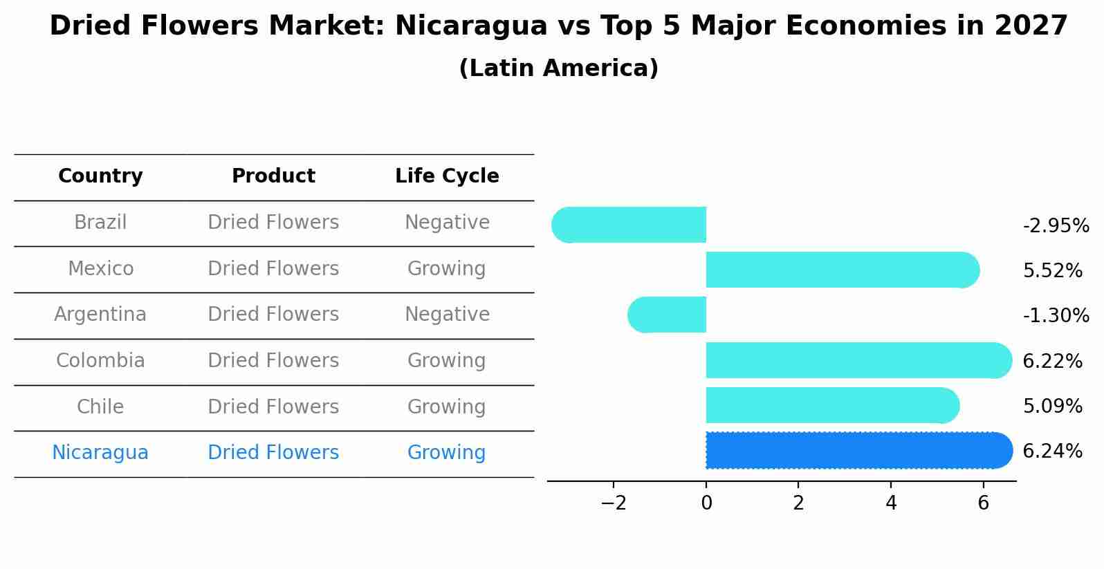 Dried Flowers Market: Nicaragua vs Top 5 Major Economies in 2027 (Latin America)