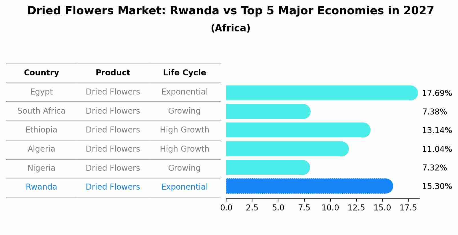 Dried Flowers Market: Rwanda vs Top 5 Major Economies in 2027 (Africa)