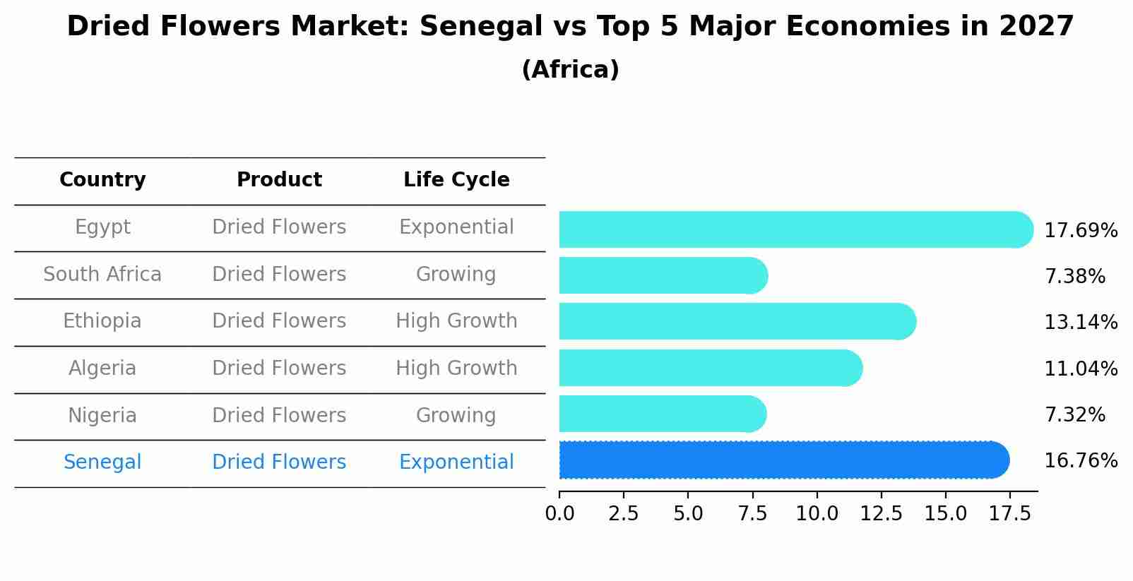 Dried Flowers Market: Senegal vs Top 5 Major Economies in 2027 (Africa)