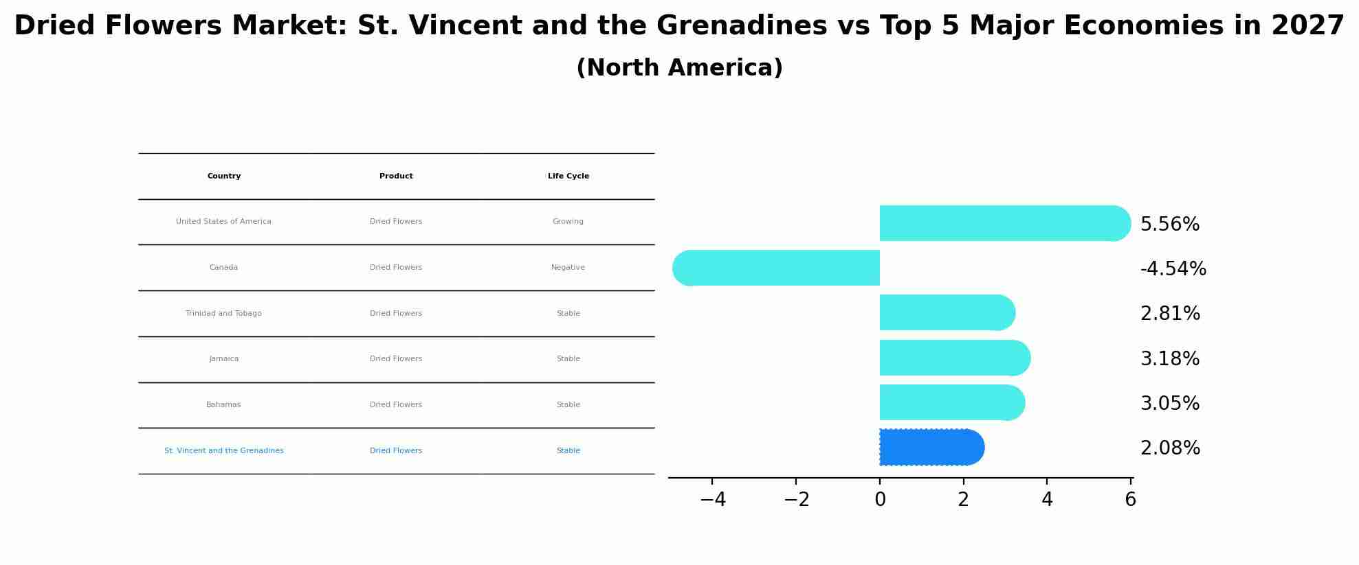 Dried Flowers Market: St. Vincent and the Grenadines vs Top 5 Major Economies in 2027 (North America)
