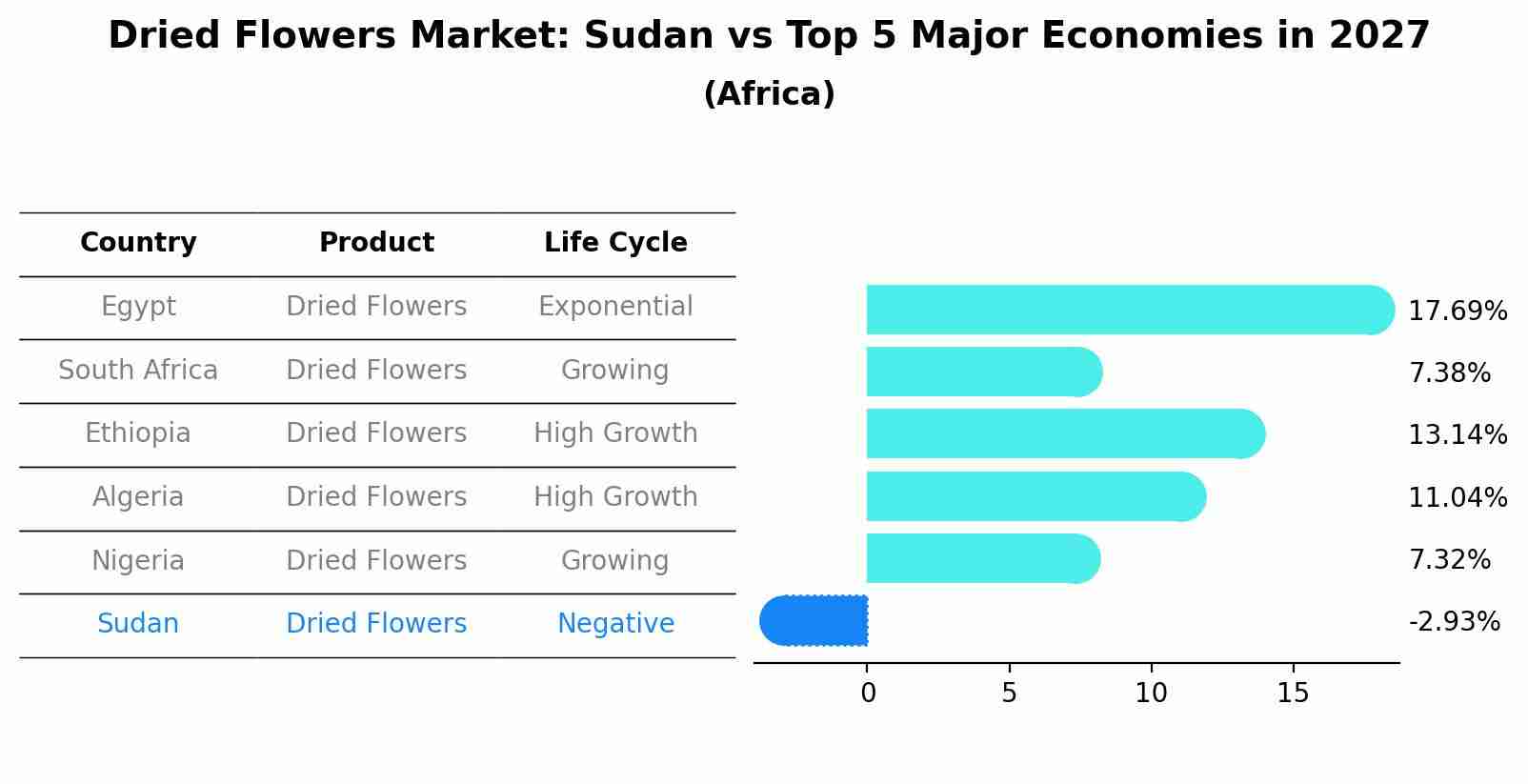 Dried Flowers Market: Sudan vs Top 5 Major Economies in 2027 (Africa)