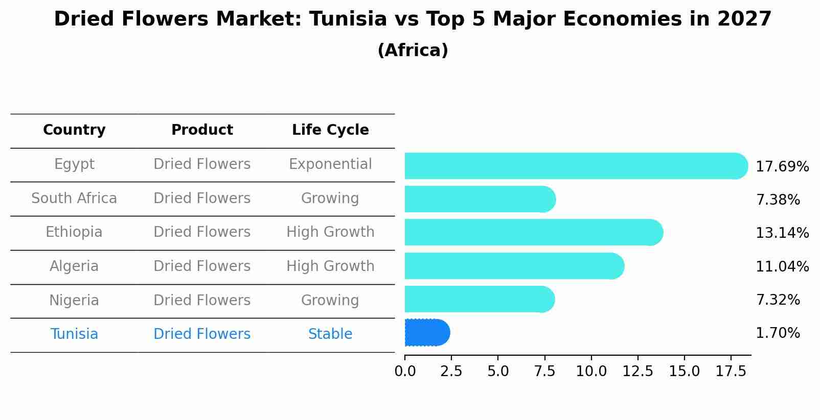 Dried Flowers Market: Tunisia vs Top 5 Major Economies in 2027 (Africa)