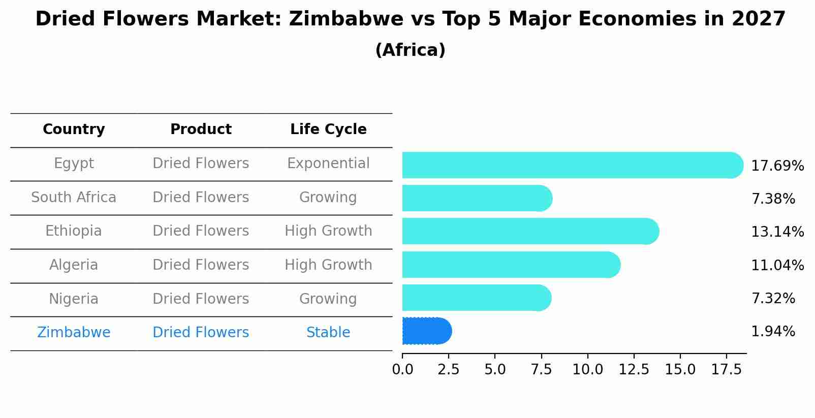 Dried Flowers Market: Zimbabwe vs Top 5 Major Economies in 2027 (Africa)
