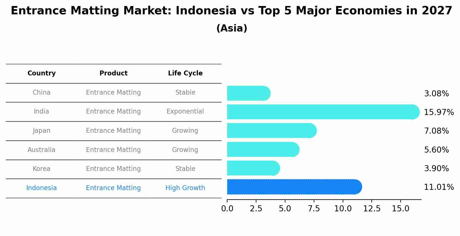 Entrance Matting Market: Indonesia vs Top 5 Major Economies in 2027 (Asia)