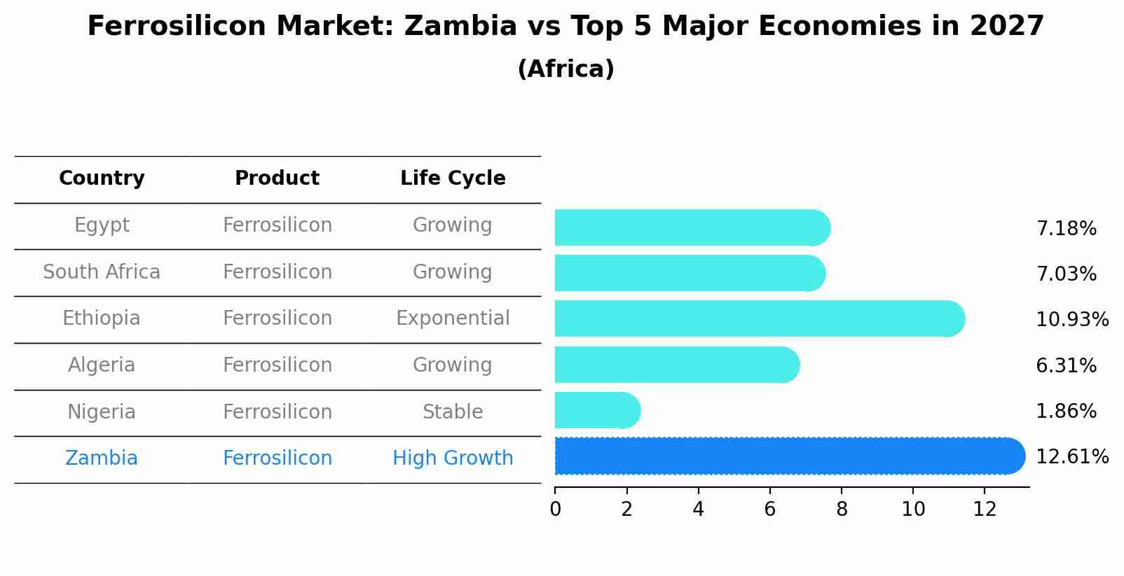 Ferrosilicon Market: Zambia vs Top 5 Major Economies in 2027 (Africa)