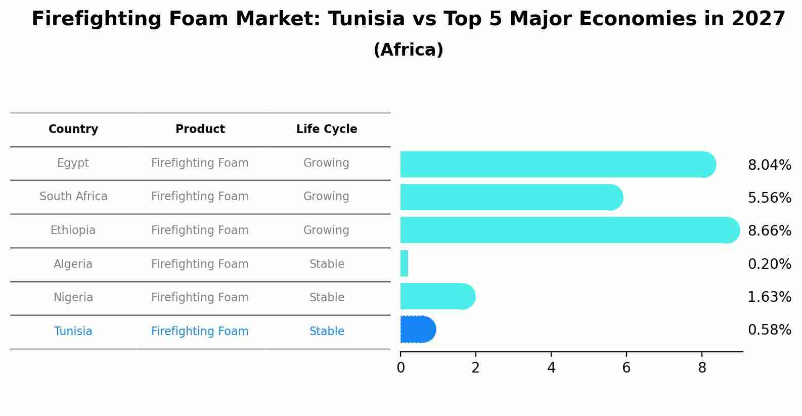 Firefighting Foam Market: Tunisia vs Top 5 Major Economies in 2027 (Africa)