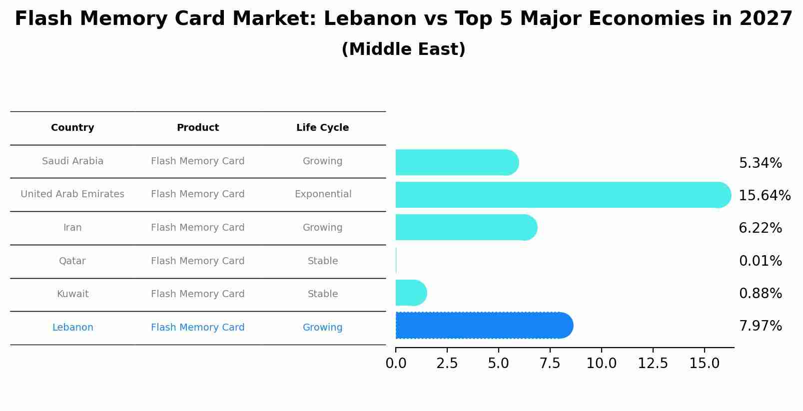Flash Memory Card Market: Lebanon vs Top 5 Major Economies in 2027 (Middle East)
