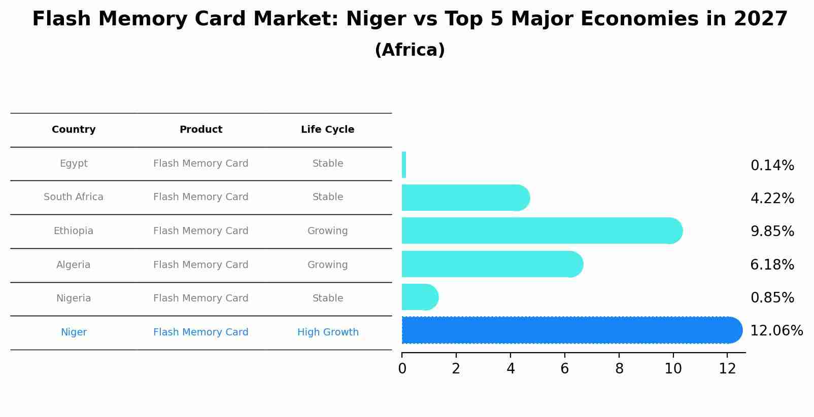 Flash Memory Card Market: Niger vs Top 5 Major Economies in 2027 (Africa)