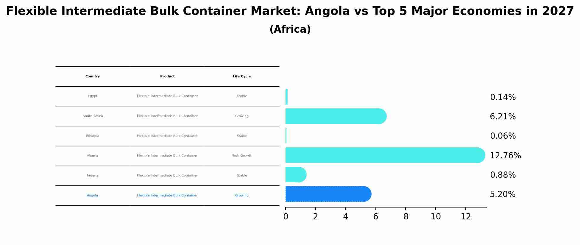 Flexible Intermediate Bulk Container Market: Angola vs Top 5 Major Economies in 2027 (Africa)