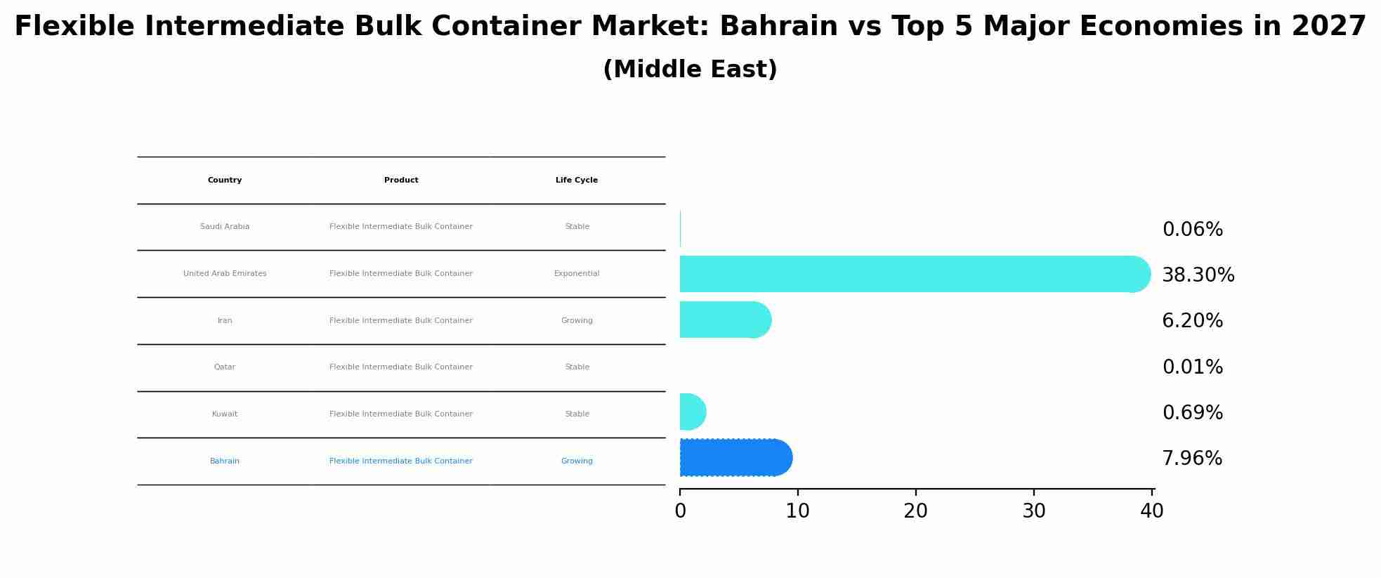 Flexible Intermediate Bulk Container Market: Bahrain vs Top 5 Major Economies in 2027 (Middle East)