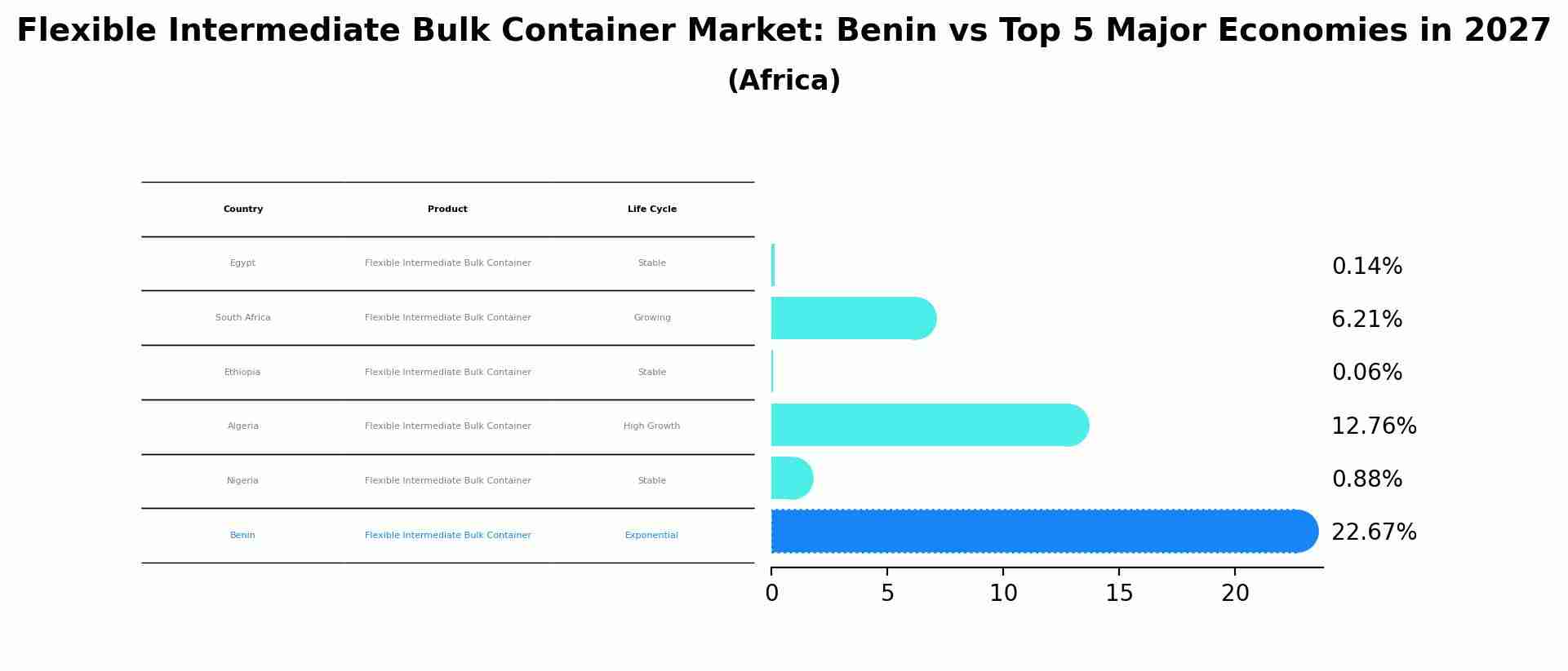 Flexible Intermediate Bulk Container Market: Benin vs Top 5 Major Economies in 2027 (Africa)