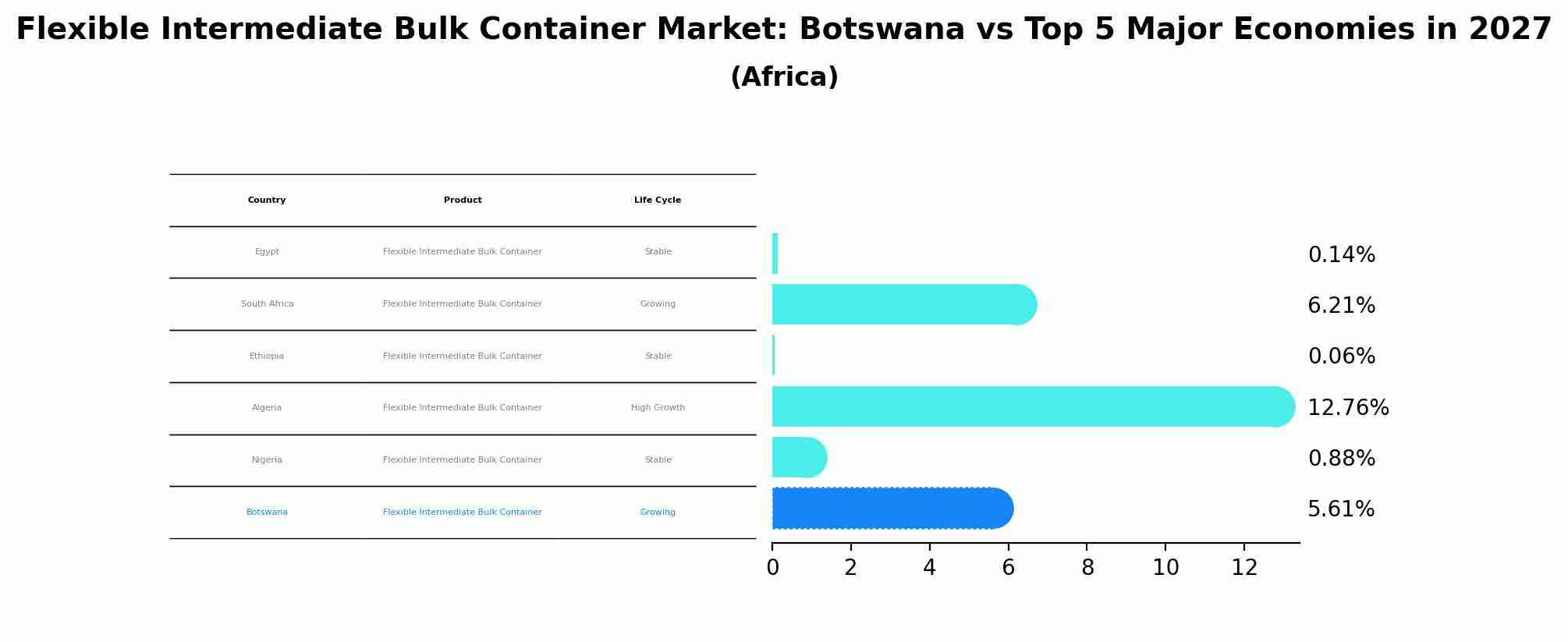Flexible Intermediate Bulk Container Market: Botswana vs Top 5 Major Economies in 2027 (Africa)