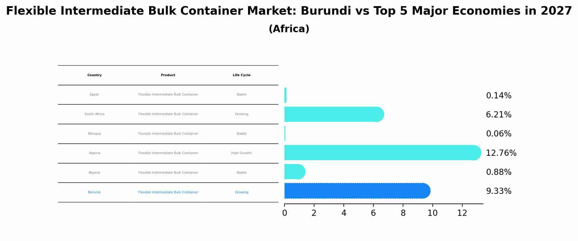 Flexible Intermediate Bulk Container Market: Burundi vs Top 5 Major Economies in 2027 (Africa)