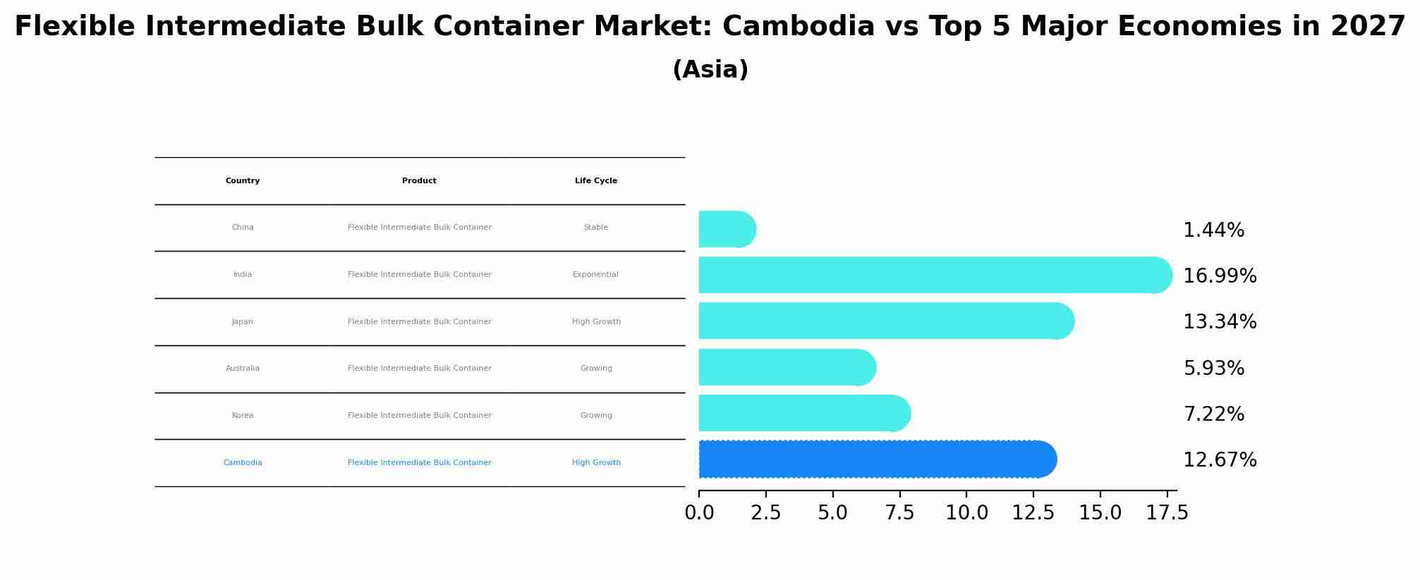 Flexible Intermediate Bulk Container Market: Cambodia vs Top 5 Major Economies in 2027 (Asia)