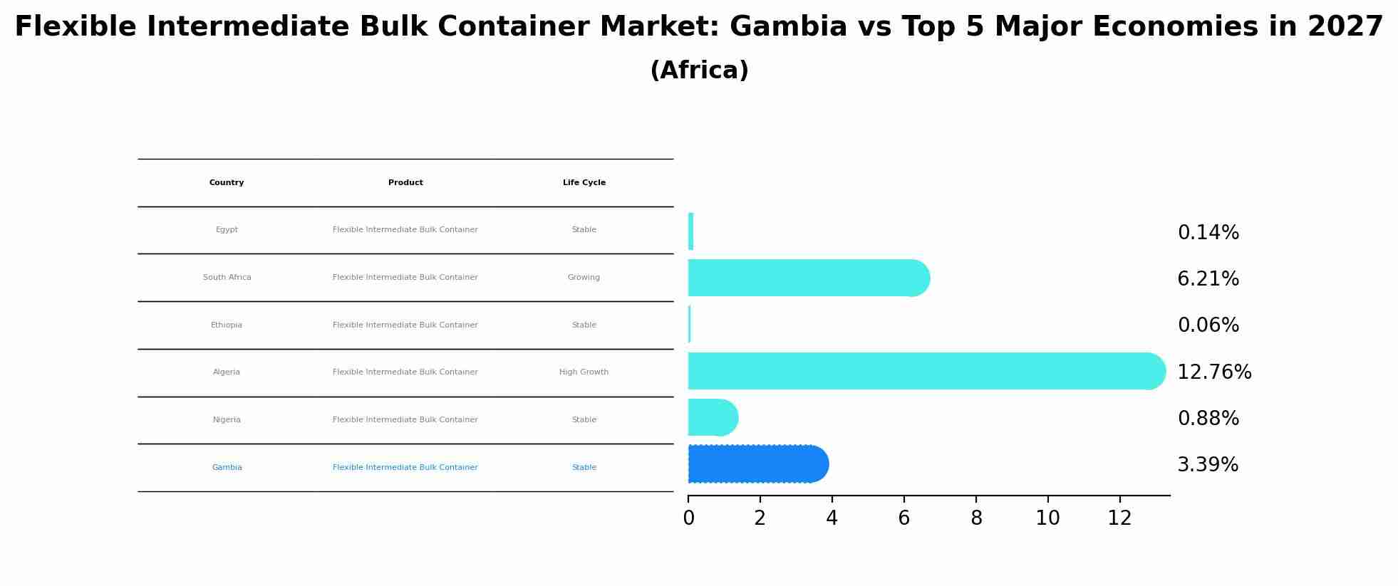 Flexible Intermediate Bulk Container Market: Gambia vs Top 5 Major Economies in 2027 (Africa)
