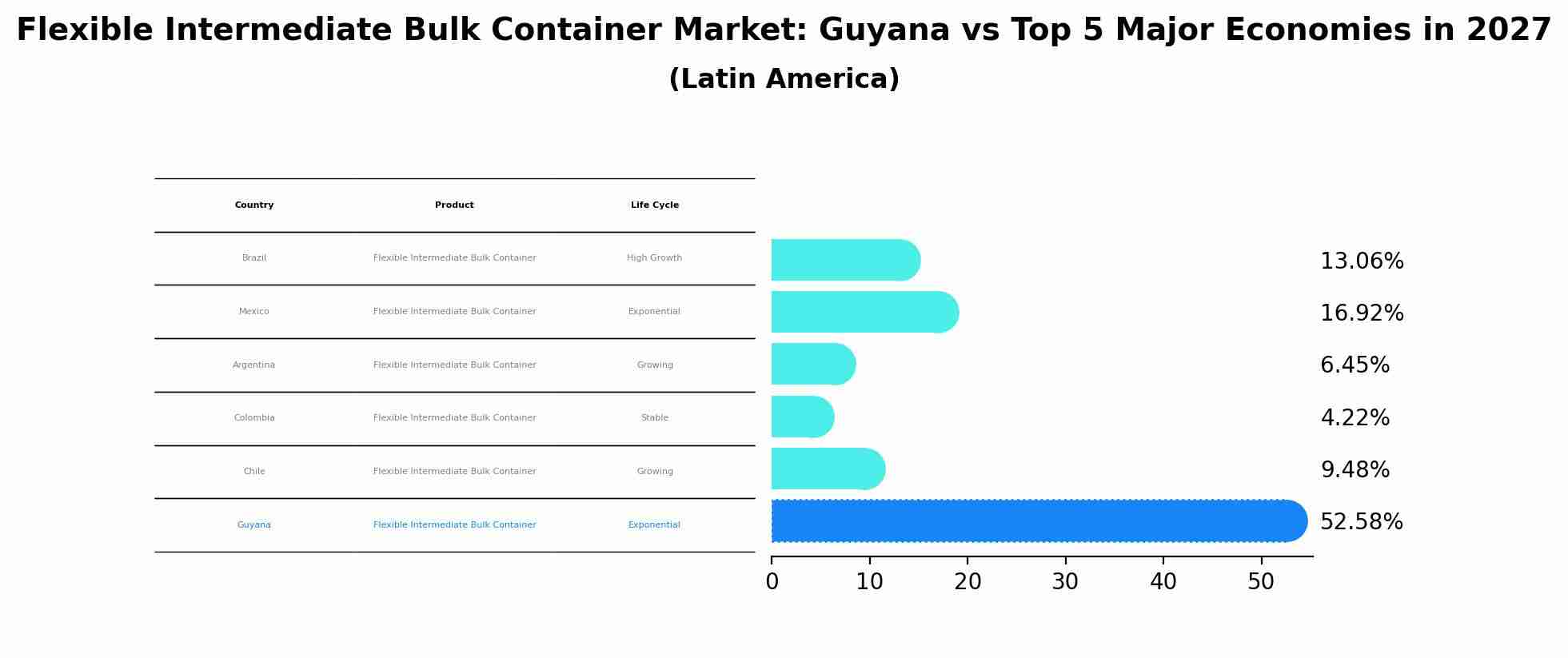 Flexible Intermediate Bulk Container Market: Guyana vs Top 5 Major Economies in 2027 (Latin America)