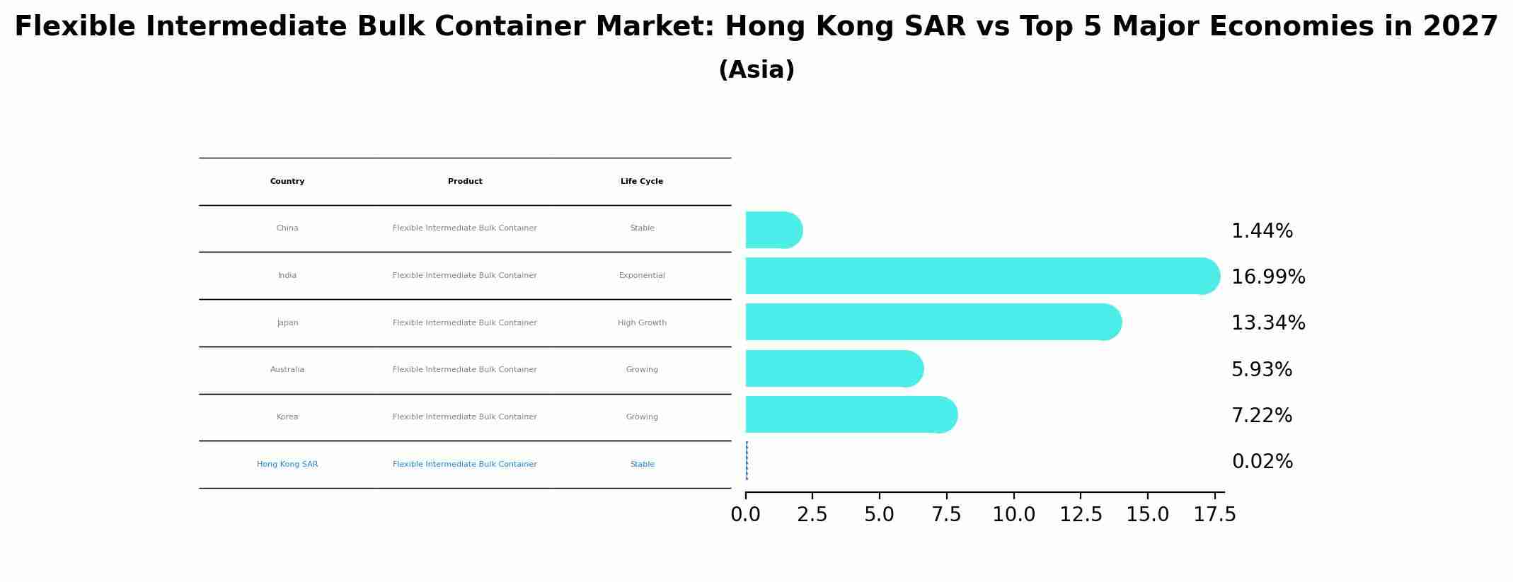 Flexible Intermediate Bulk Container Market: Hong Kong SAR vs Top 5 Major Economies in 2027 (Asia)