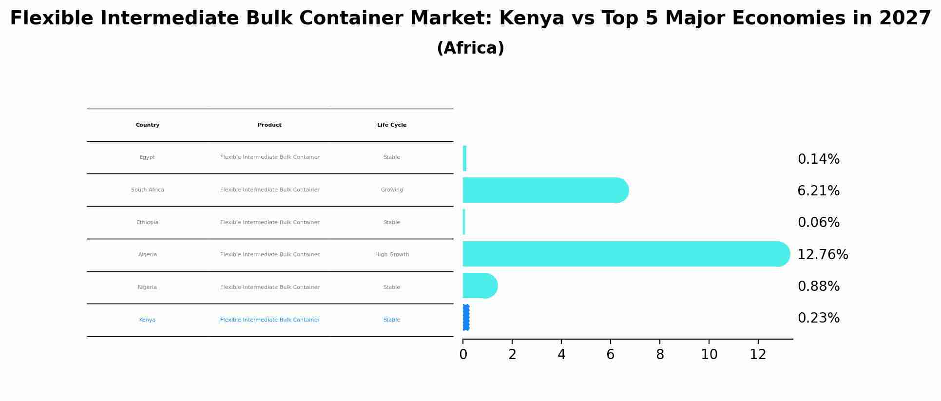 Flexible Intermediate Bulk Container Market: Kenya vs Top 5 Major Economies in 2027 (Africa)