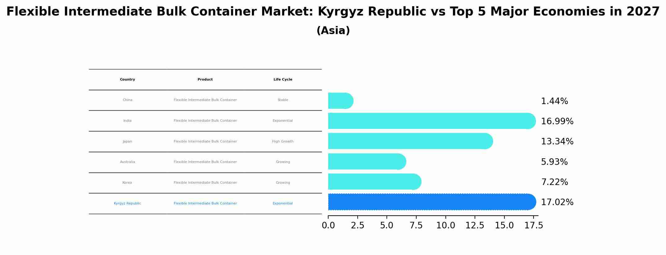 Flexible Intermediate Bulk Container Market: Kyrgyz Republic vs Top 5 Major Economies in 2027 (Asia)
