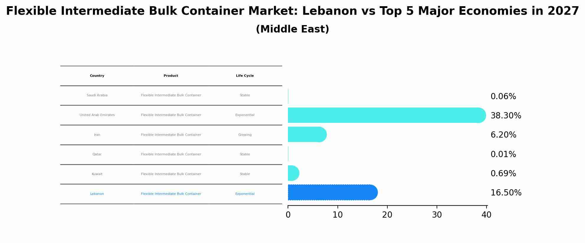 Flexible Intermediate Bulk Container Market: Lebanon vs Top 5 Major Economies in 2027 (Middle East)
