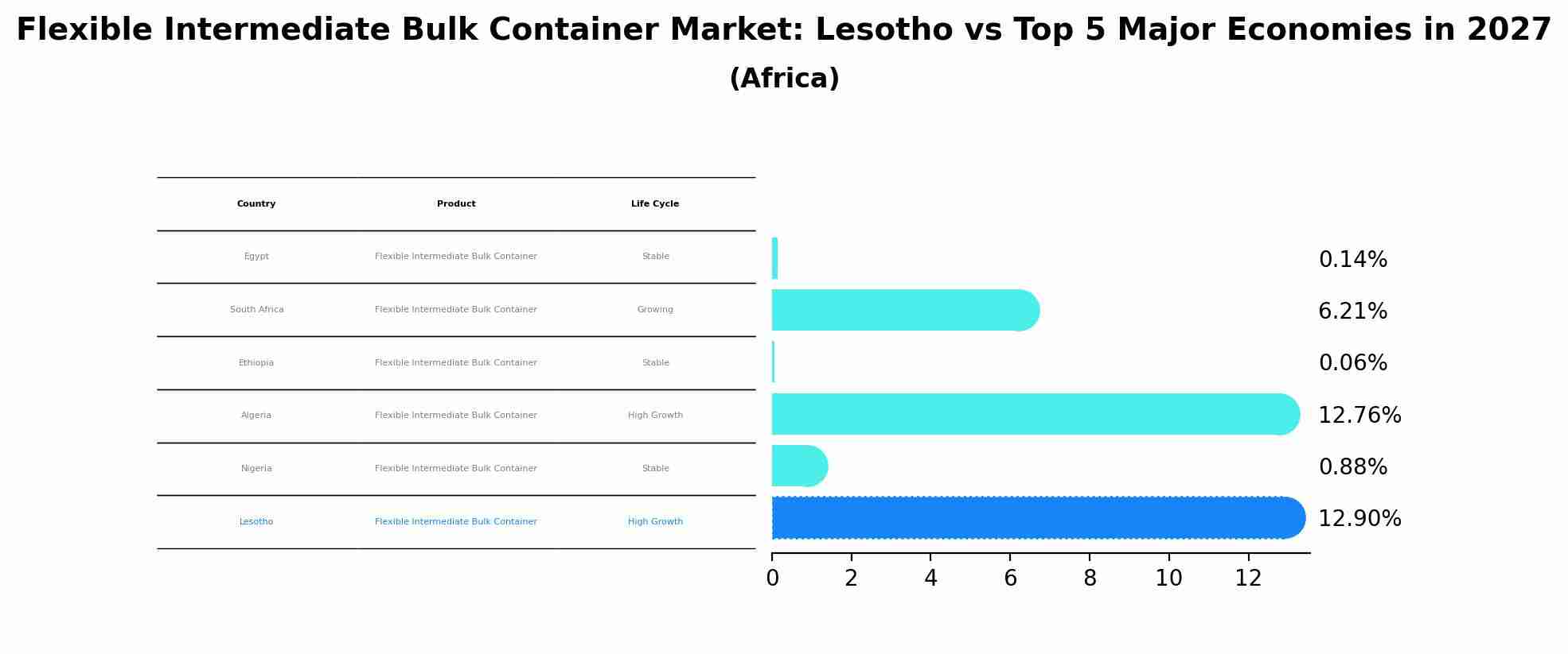 Flexible Intermediate Bulk Container Market: Lesotho vs Top 5 Major Economies in 2027 (Africa)