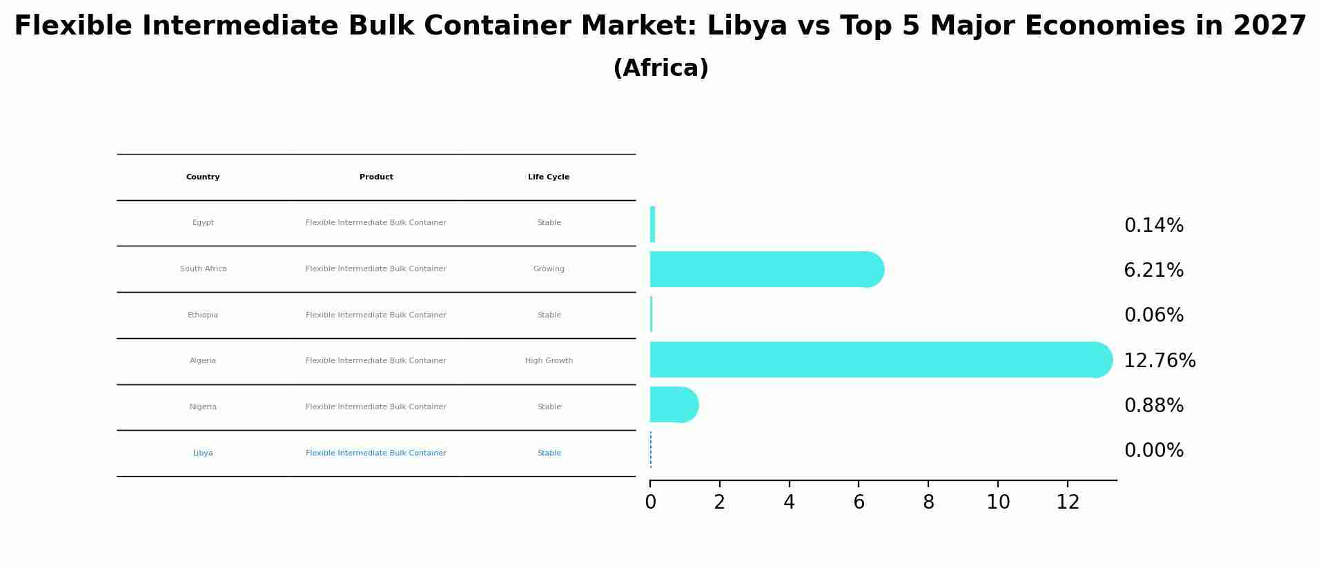 Flexible Intermediate Bulk Container Market: Libya vs Top 5 Major Economies in 2027 (Africa)