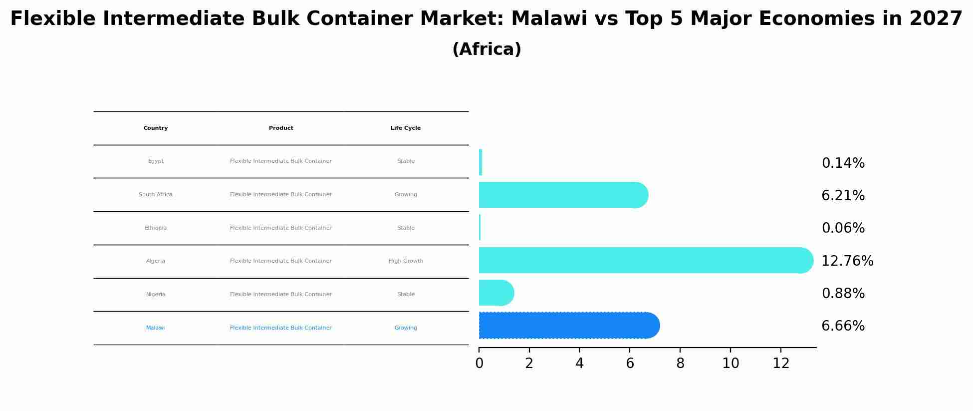 Flexible Intermediate Bulk Container Market: Malawi vs Top 5 Major Economies in 2027 (Africa)