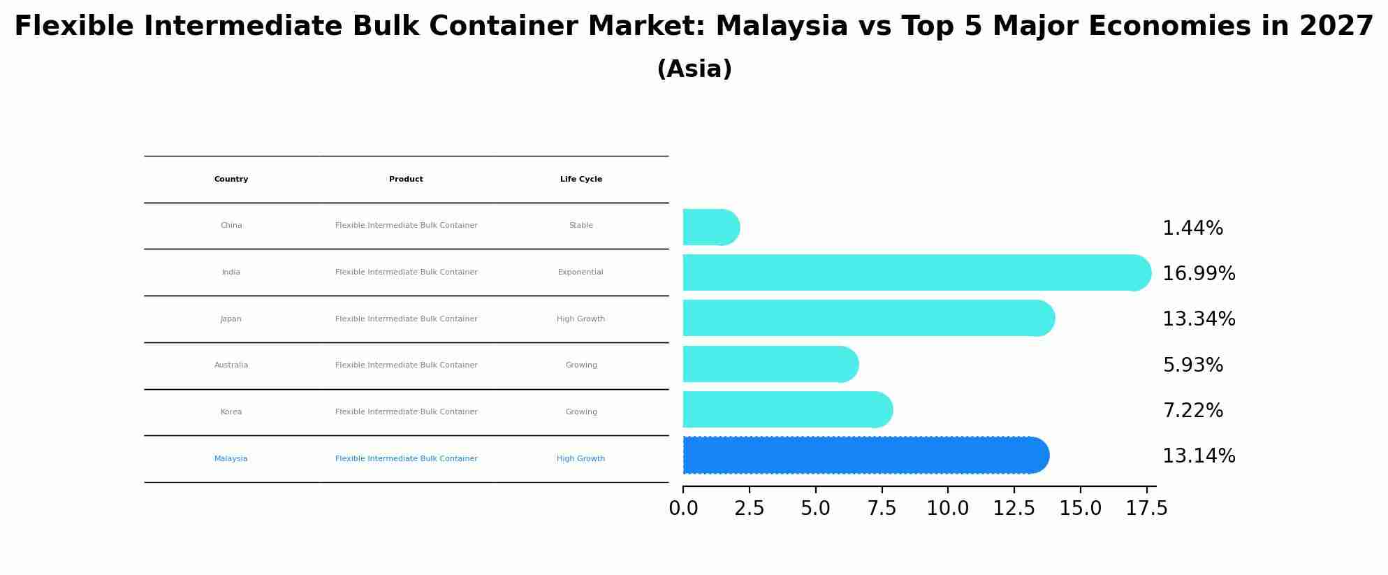 Flexible Intermediate Bulk Container Market: Malaysia vs Top 5 Major Economies in 2027 (Asia)