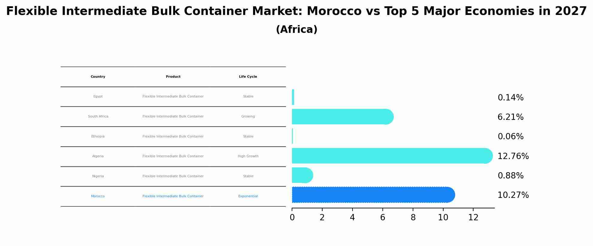 Flexible Intermediate Bulk Container Market: Morocco vs Top 5 Major Economies in 2027 (Africa)