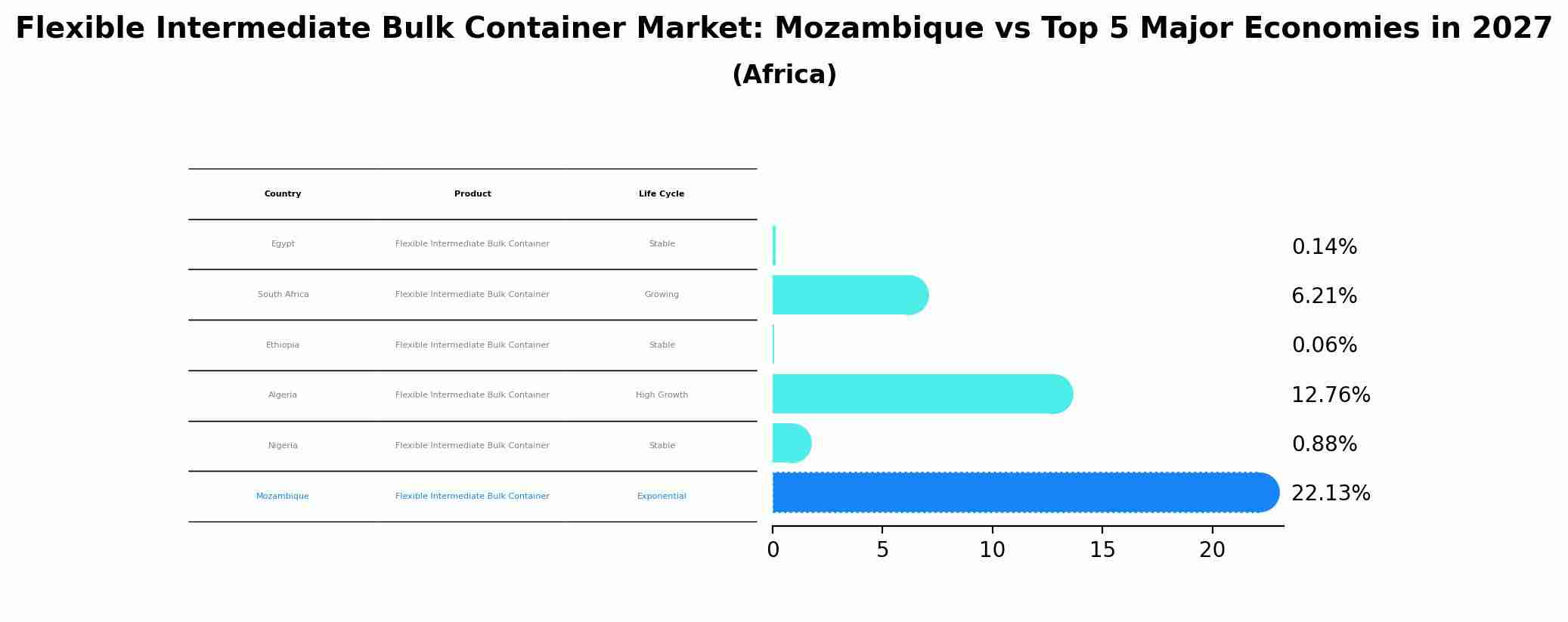 Flexible Intermediate Bulk Container Market: Mozambique vs Top 5 Major Economies in 2027 (Africa)